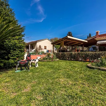 شقة Antonela Sunshine By Corfu Escapes